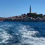 Senka *