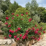 아파트 Senka 로비니