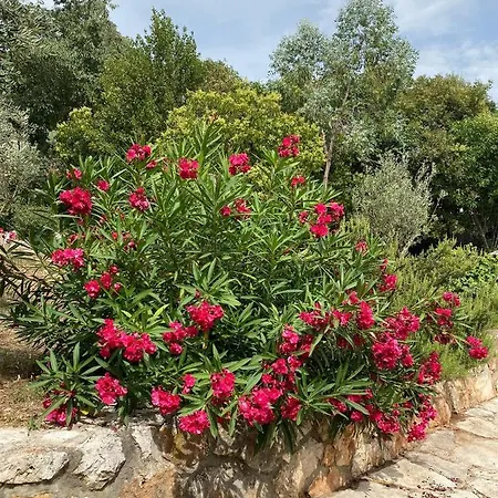 Apartment Senka Rovinj