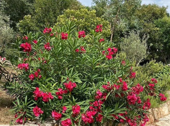 Apartmán Senka Rovinj